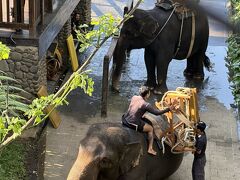 途中マッキーがZooではなくSafariと勘違いしていることに気付き、間に合うのか心配になりましたが
そこはプロマッキー、ちゃんと時間に間に合わせてくれました。
