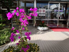 帰りは空港まで電車で行こうと思ってたけど、結局バスで空港へ。