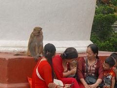 物欲しそうなサルが家族連れの後ろにいます。女の子が食べている物を狙っているのかもしれません。「スワヤンブナート」の参拝を終えて、「ダルバート広場」に向かいます。