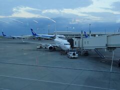 まずは那覇から石垣島へ。
前々日に那覇に入っていました。
朝6時半にホテルを出てタクシーで6時45分に空港に到着。
7時10分のフライトに乗るという強行スケジュールでした。