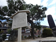 詩仙堂に行くため最寄りの「一乗寺下り松町」という市バスの停留所で降りた
前からそのバス停の名前が独特だなぁ、とは思っていた
詩仙堂に行く道すがら、その訳が分かった
「一乗寺下り松」そのものが存在していた
宮本武蔵が吉岡一門と決闘を行ったという場所で、歩道からは少し小高くなっていて見つけやすい
昔、一乗寺というお寺が近所にあり、この下り松は宮本武蔵の決闘以前から旅人の目印だった、松は代々植え替えられている
このストーリーから地名の「一乗寺下り松町」に納得