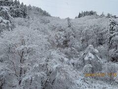 米澤あたりの新幹線の車窓から
こんな雪景色は久しぶりに見ました♪