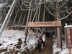 この先にビジターセンターがあり、入苑料を払います。
その前に念の為、ライブカメラで温泉とお猿の様子を確認。

うん。良し！！