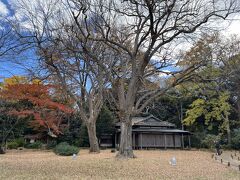 六義園の心泉亭。