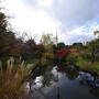 都立8庭園の紅葉とかいろいろ