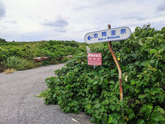 島の北部にある池間湿原に寄ってみたけど、
ここは別に来なくても良かったかも。
