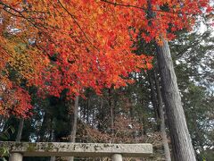 さあここの紅葉はいつも期待通り
少し遅くても色鮮やかだったよ