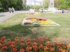西へ歩を進めると毛氈花壇や珍しい品種のチューリップなども植えられています。