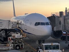 飛行機で伊丹空港に到着。
乗ってきた機体が夕焼けに映えてキレイでした。