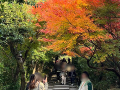 高台寺あたりも人が多い。