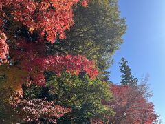 円覚寺も紅葉真っ盛り。