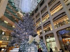 クリスマスツリー巡り