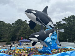 鴨川シーワールドは久しぶり。
シャチがいる水族館。
日本でシャチがいるのはここと名古屋港水族館、神戸須磨シーワールドの三ヶ所だけ。
