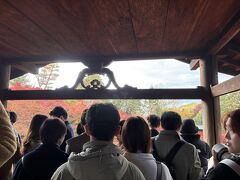 さあ、こちらが通天橋の真ん中。ご覧の通り大勢の観覧者。外国人もいたけれど日本語の方が多くてアウェイ感は無し。写真撮影は順番を待って…。