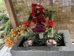 仙台大神宮へ
花手水に魅了され
