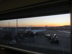 【羽田空港さくらラウンジ】

4時半すぎですが、もう暗くなってきてます。
ビールとおつまみ（キャラメルポップコーンが美味しい）で40分ほど過ごし、搭乗口へ向かいます。