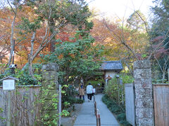 明月院

あじさい寺で有名な明月院。
紅葉も、素晴らしい。