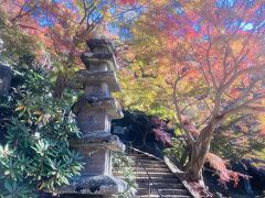 半蔵坊の石段をえっちら登ります。