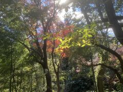 関東百名山の天園という山を越えるといよいよ獅子舞ヶ谷です。