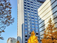 中華街バス停から徒歩5分、今夜泊まるホテル「ハイアットリージェンシー横浜」に着きました。
1本のイチョウの木だけが太陽に照らされて、光り輝いていました。