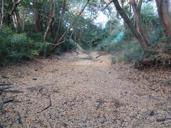 報徳二宮神社に向かう途中には、かつての城の堀が残っていました。
