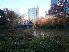 ミッドタウンの東に隣接する檜町公園。
江戸時代は毛利家の江戸屋敷だった場所にあります。
大名屋敷っぽい池と庭園があり、わずかに残った紅葉が綺麗でした。

