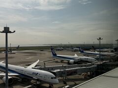 第2ターミナル展望デッキから、ずらりと並んでいるANAのB787。
66番には今のところスタアラ特別塗装機が駐機中。