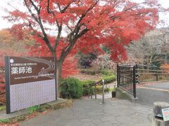 薬師池公園