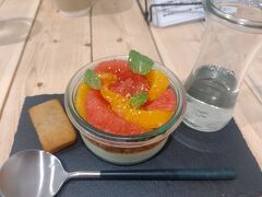 ネモちゃんランド3