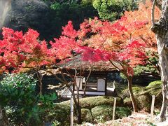 庭園へ