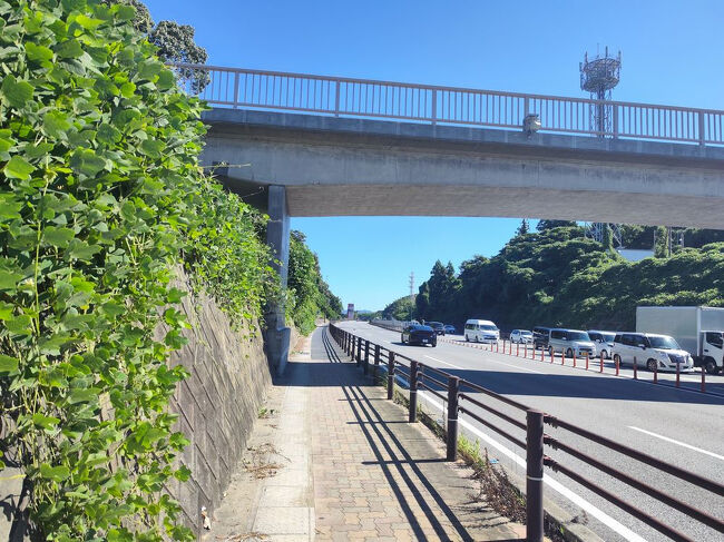 マップ見てたらいい場所を見つけた！<br />がははは俺は天才だ！「あそこ」なら解決方法がある！