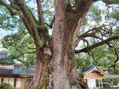 ついに　はじめて　やっと来た。太宰府天満宮。

博多にはまあまあよく来るので

博多座ね。

来れないこともないけど、今まで一度も来れてなかったので

まさかの　こんな機会に笑ってしまった。

やっと来た。