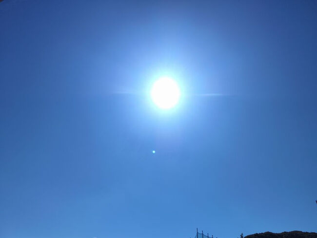 って違うだろｗｗｗｗｗ早く集積地にバイク回収に行くんだよｗｗ<br />この炎天下で良い年したおっさんがしゃがみ込んでヤモリ眺めてる場合かｗｗｗｗｗ