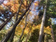 この辺りは紅葉がまだ綺麗に残ってます。