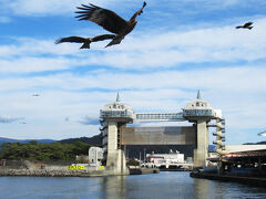 大型展望水門「びゅうお」の下をくぐって駿河湾へ。