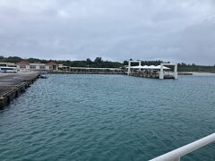曇は似合わないけど
年末年始は仕方ないさ