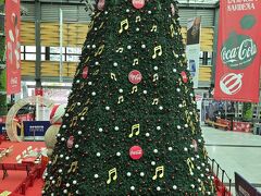 １２月１９日

手術翌日。目を覆っていたガーゼを取ってもらいにあさイチで病院へ。すぐに終わって、開店直後のアバスト・ショッピングのツリーへ。かなりでかい。