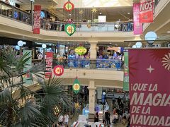 １２月２１日

郊外のユニセンターへ。私の銀行のスマホ決済だとアパレル関係の買い物は毎週水曜日に25％のキャッシュバックがあるので週末に来ることは滅多にないのですが、ホリデーシーズンで流石に混み混みです。