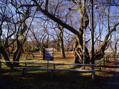 高遠城址公園