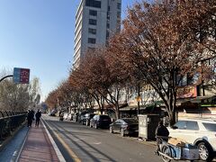 ご飯を食べたら清渓川沿いを歩いて広蔵市場へ向かいます。