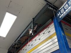 東大門市場へ来ました。メンバーの一人がこのお店で買いたい物があったのに、お休みでした(´･_･`)残念
