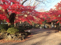 楽寿園入口は真っ赤に紅葉