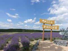 夏の空とラベンダー