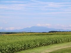どこまでも続く広大な農地が広がる女満別エリアへ。
遠くに斜里岳をのぞむ朝日ヶ丘公園に到着。