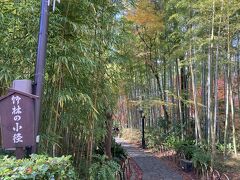 竹林の小径