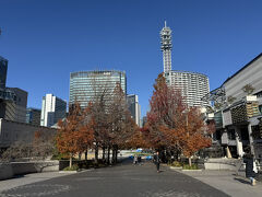 グランモール公園のイチョウ並木を歩いて、