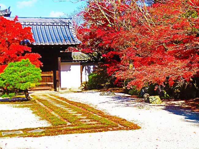 京都錦秋13 天授庵(南禅寺塔頭)紅葉の見頃/賑う 前庭-枯山水 京都錦秋13 天授庵(南禅寺塔頭)紅葉の見頃/賑う 前庭-枯山水