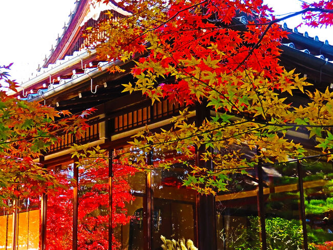 京都錦秋13 天授庵(南禅寺塔頭)紅葉の見頃/賑う 前庭-枯山水 京都錦秋13 天授庵(南禅寺塔頭)紅葉の見頃/賑う 前庭-枯山水