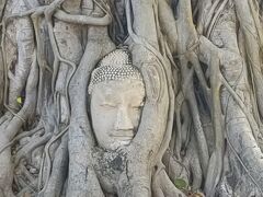 ワット・マハタート 仏頭
