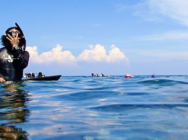 サンゴを生えさせる為、沈められた哨戒艇は、<br />岸から30m辺りにあります。<br />(掲載許可済み)